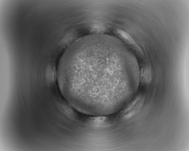 X0000096660474200802261347