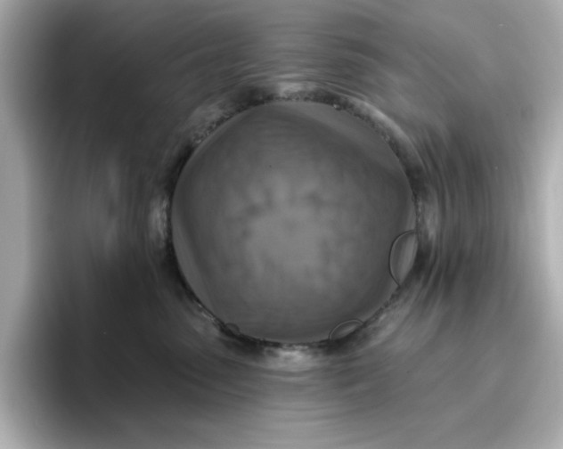 X0000096660475200802261347