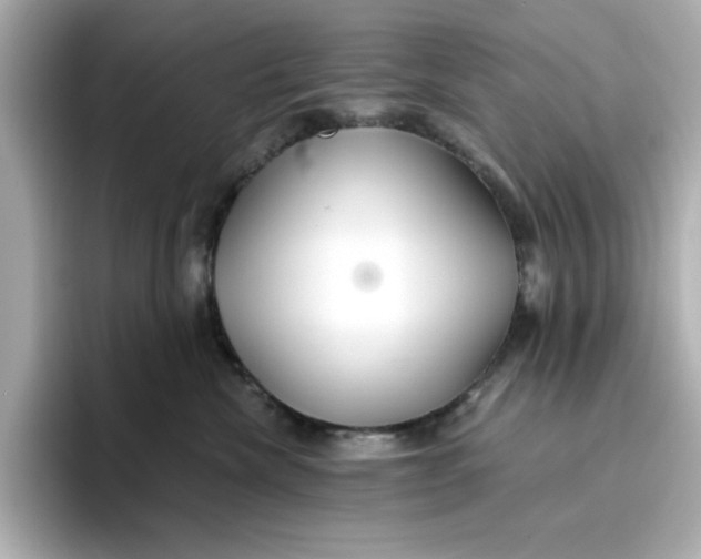 X0000096660476200802261347