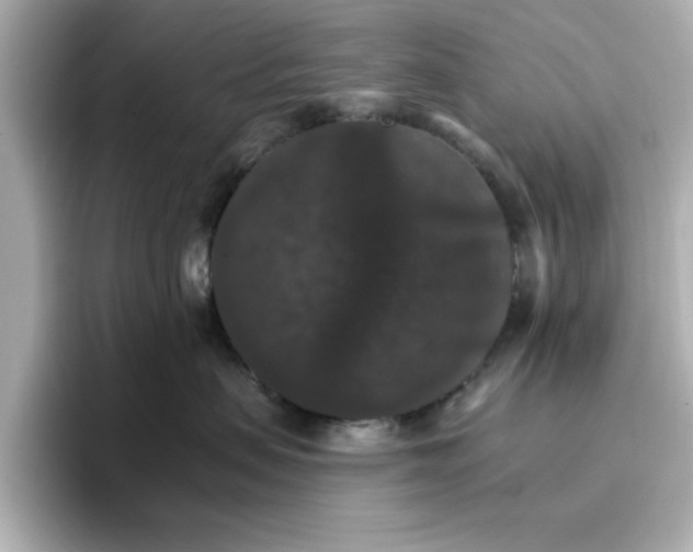 X0000096660479200802261347