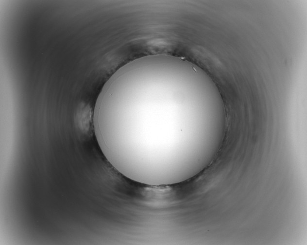 X0000096660480200802261347