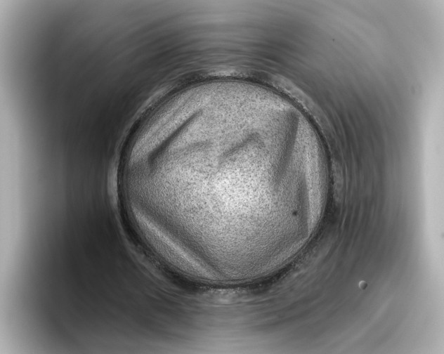 X0000096660482200802261346