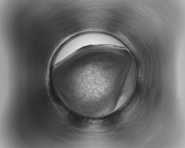 X0000096660484200802261346