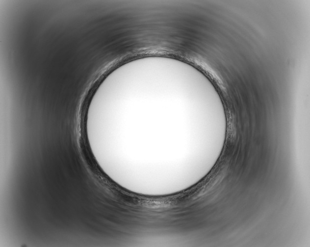 X0000096660486200802261346