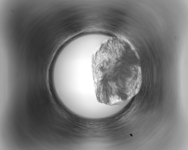 X0000096660487200802261346