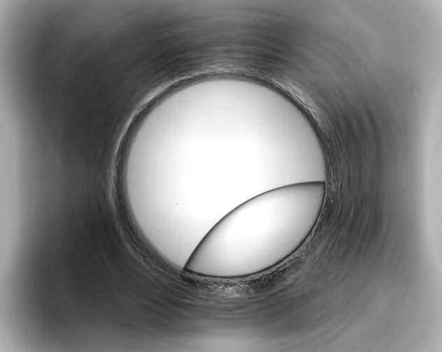 X0000096660488200802261346