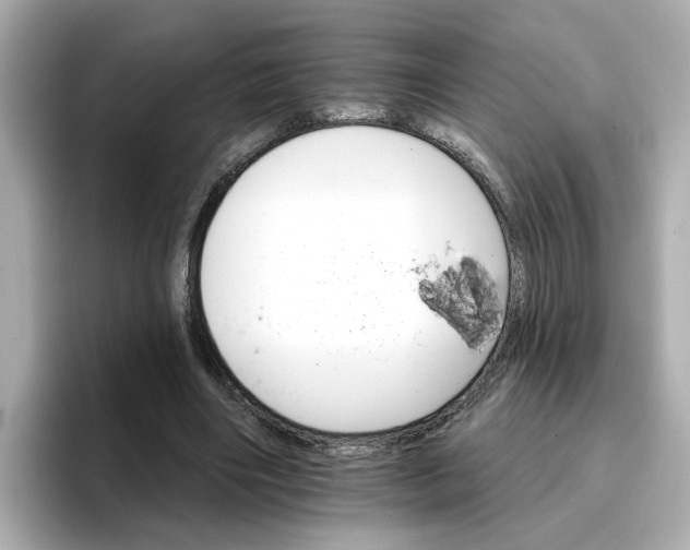 X0000096660490200802261346