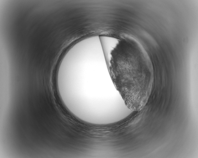 X0000096660491200802261346