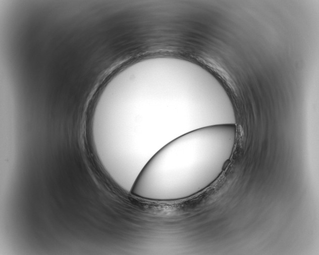 X0000096660492200802261346