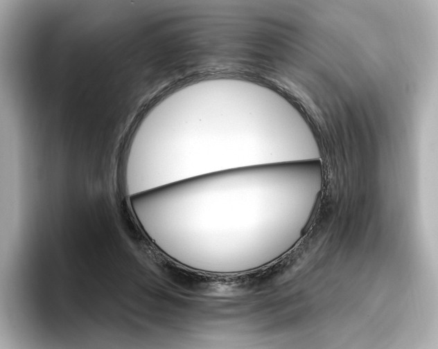 X0000096660496200802261346