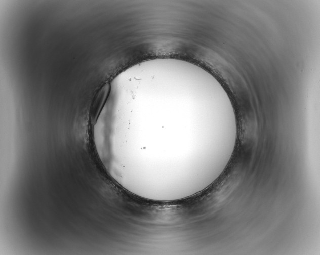 X0000096660497200802261346