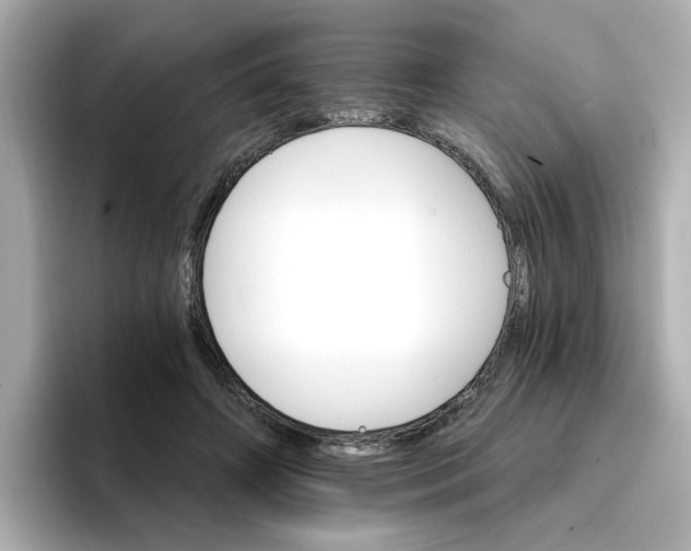 X0000096660498200802261346