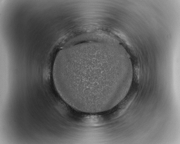 X0000096660499200802261346