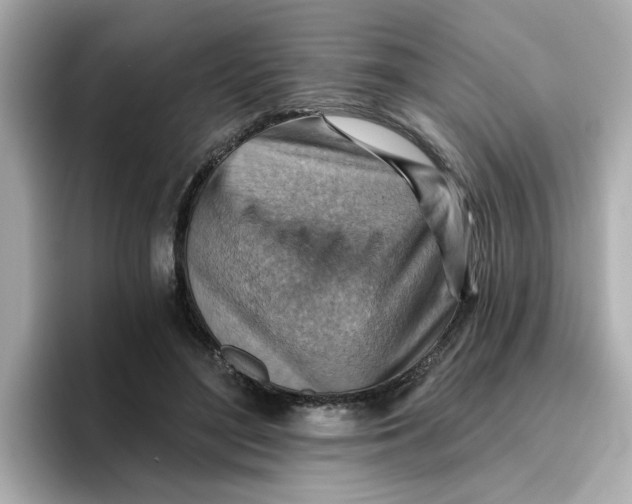 X0000096660500200802261346