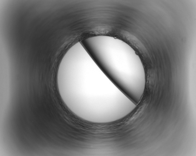 X0000096660501200802261346