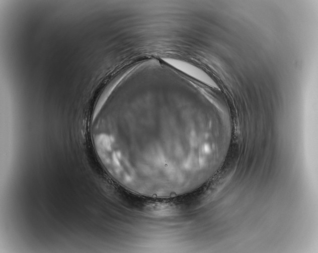 X0000096660503200802261346