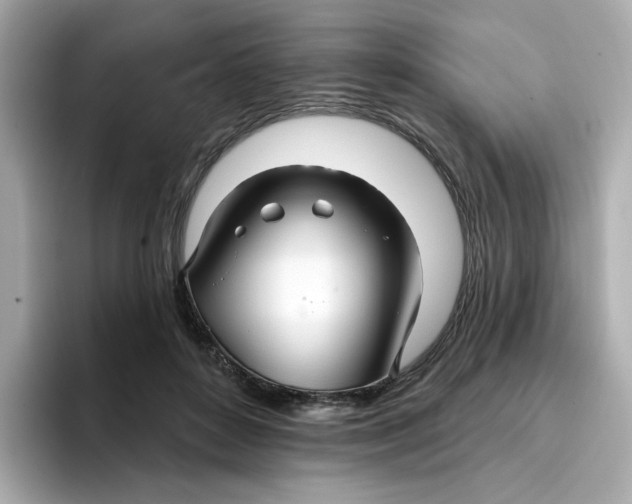 X0000096660504200802261346