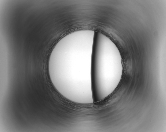 X0000096660505200802261346