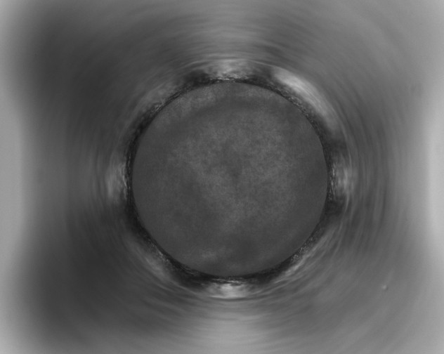 X0000096660506200802261346