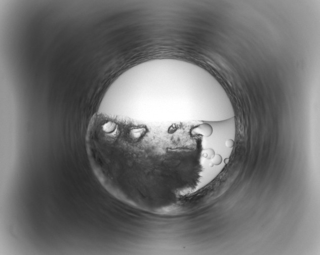 X0000096660507200802261346