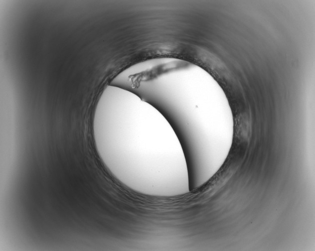 X0000096660509200802261346