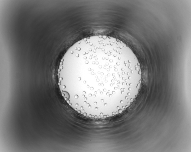 X0000096660510200802261346