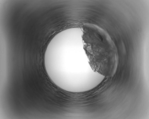 X0000096660511200802261346