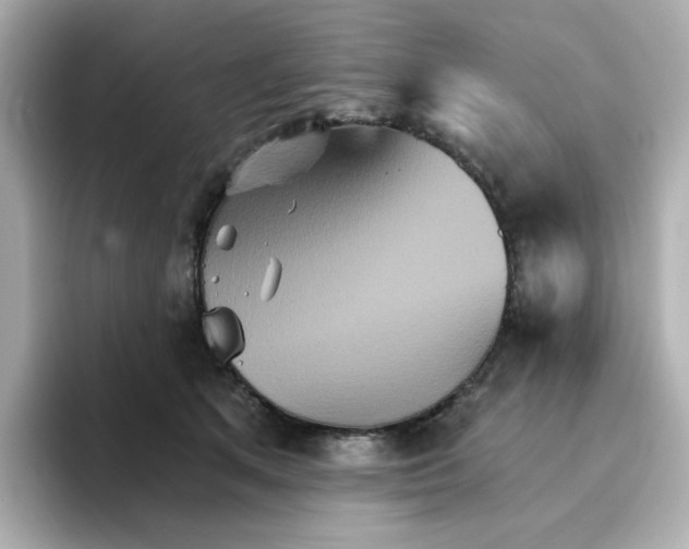 X0000096660513200802261346