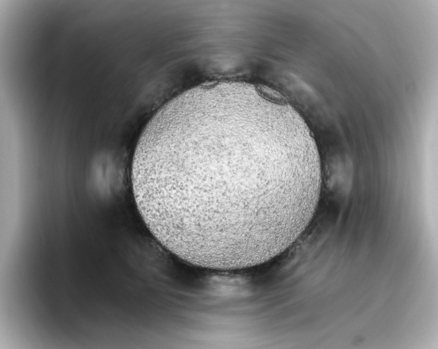 X0000096660515200802261346