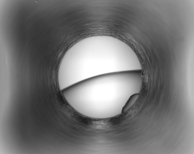 X0000096660516200802261346