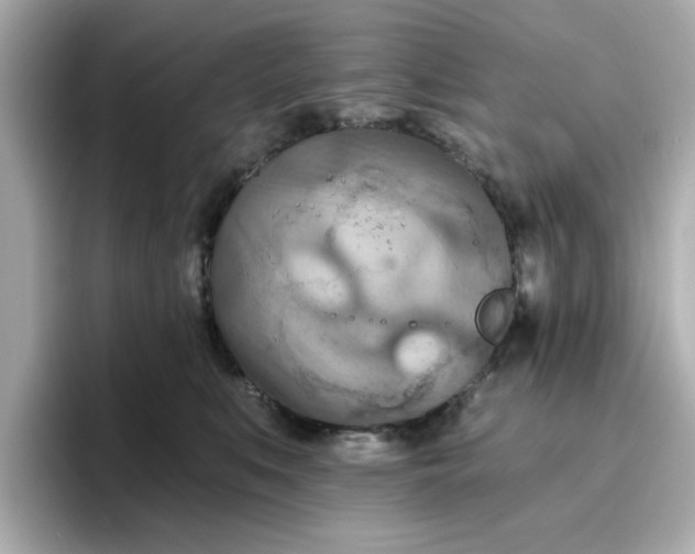 X0000096660519200802261346