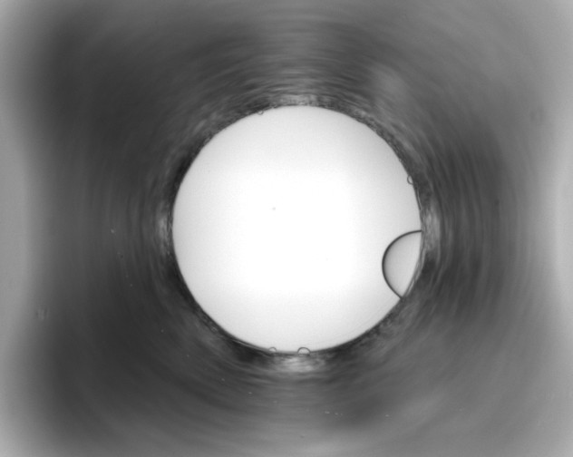 X0000096660522200802261346