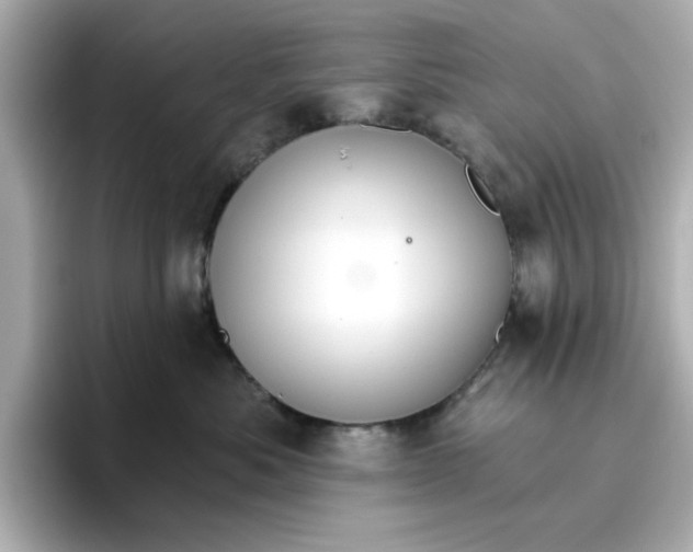 X0000096660525200802261345