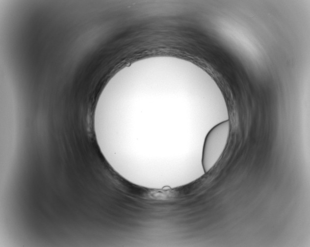 X0000096660526200802261345