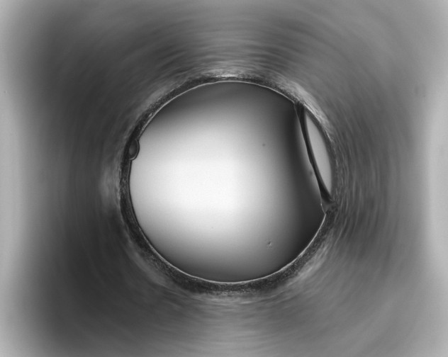 X0000096660530200802261345