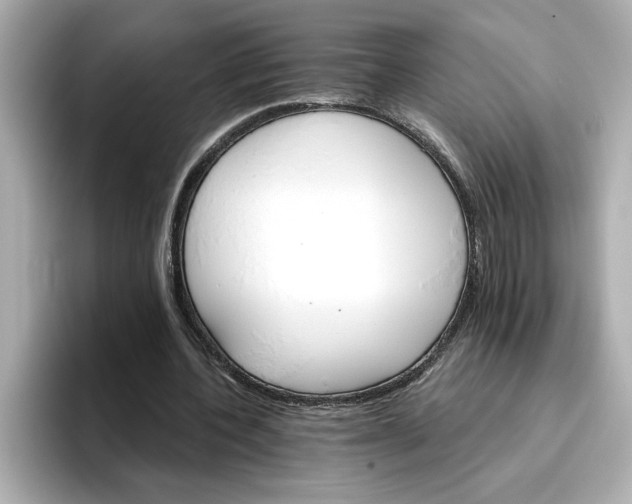 X0000096660532200802261345