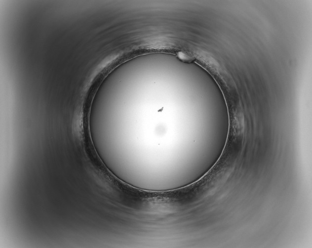 X0000096660535200802261345