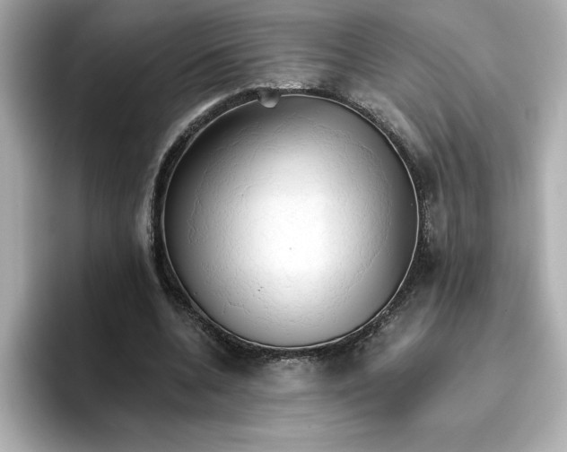 X0000096660536200802261345