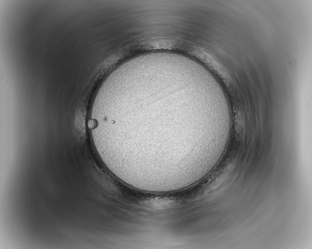 X0000096660537200802261345