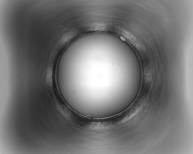 X0000096660538200802261345