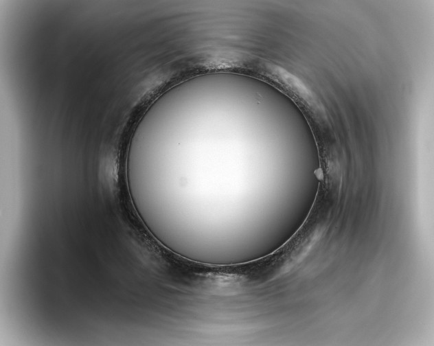 X0000096660539200802261345