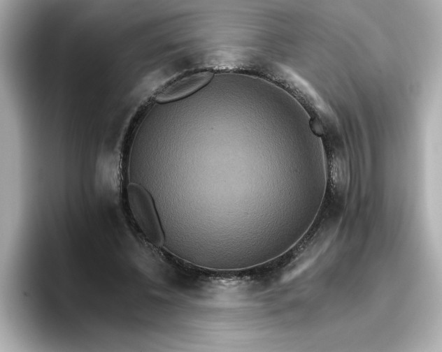 X0000096660540200802261345