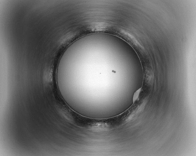 X0000096660543200802261345