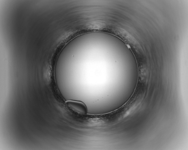 X0000096660544200802261345