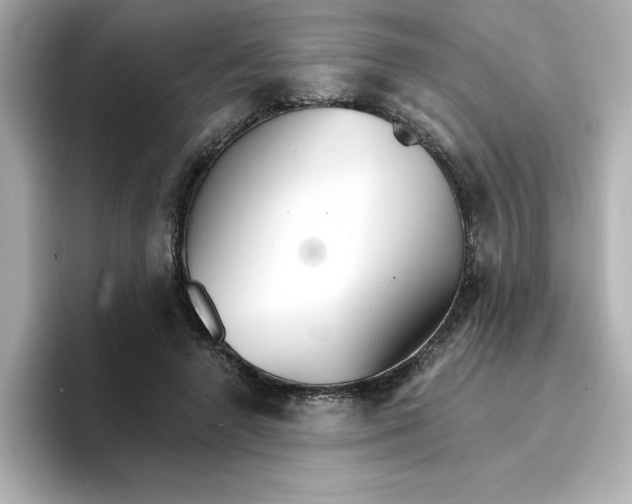 X0000096660546200802261345