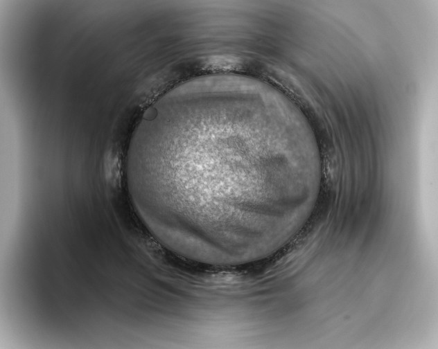 X0000096660551200802261345