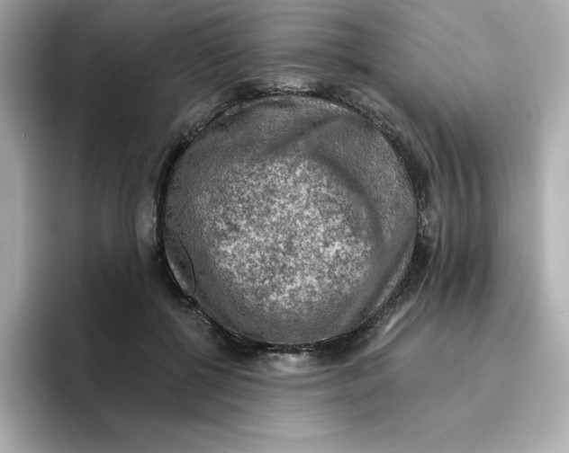 X0000096660552200802261345