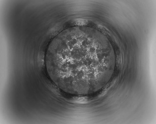 X0000096660553200802261345