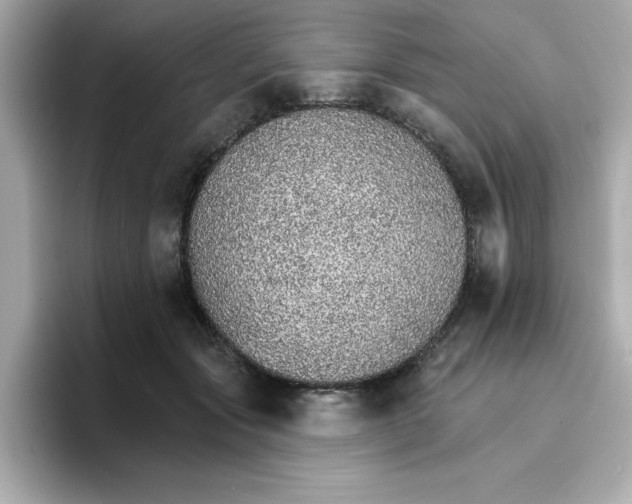 X0000096660557200802261345