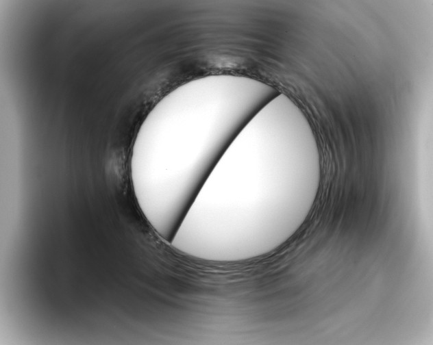 X0000096660559200802261345